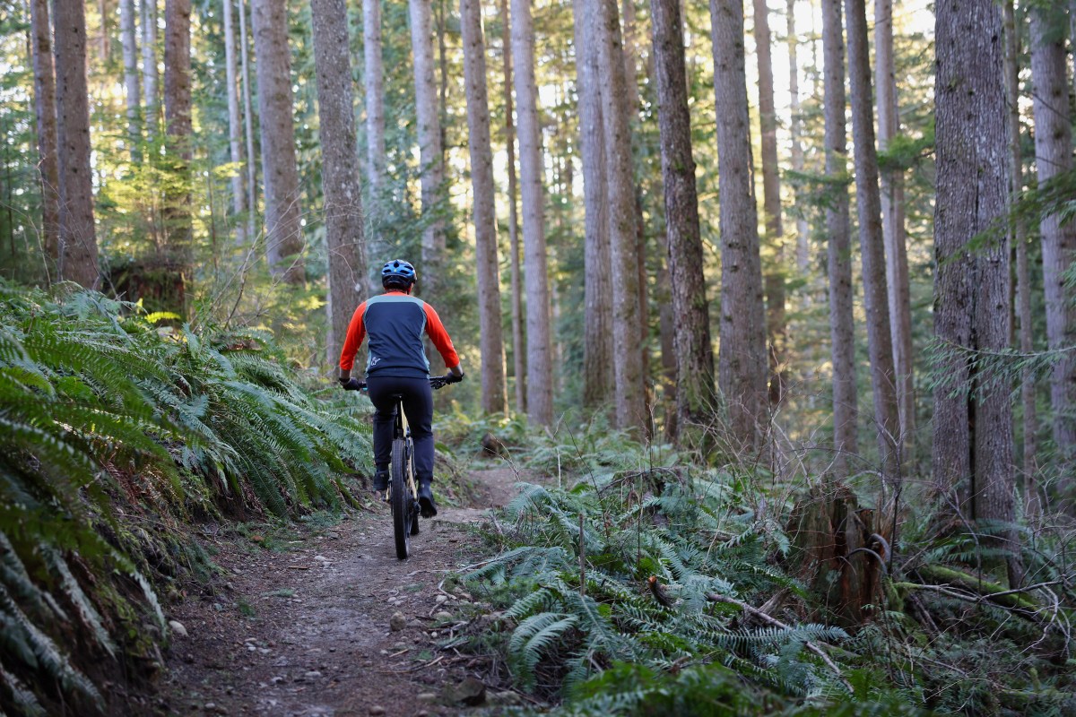 Mountain biker riding down a forested trail.