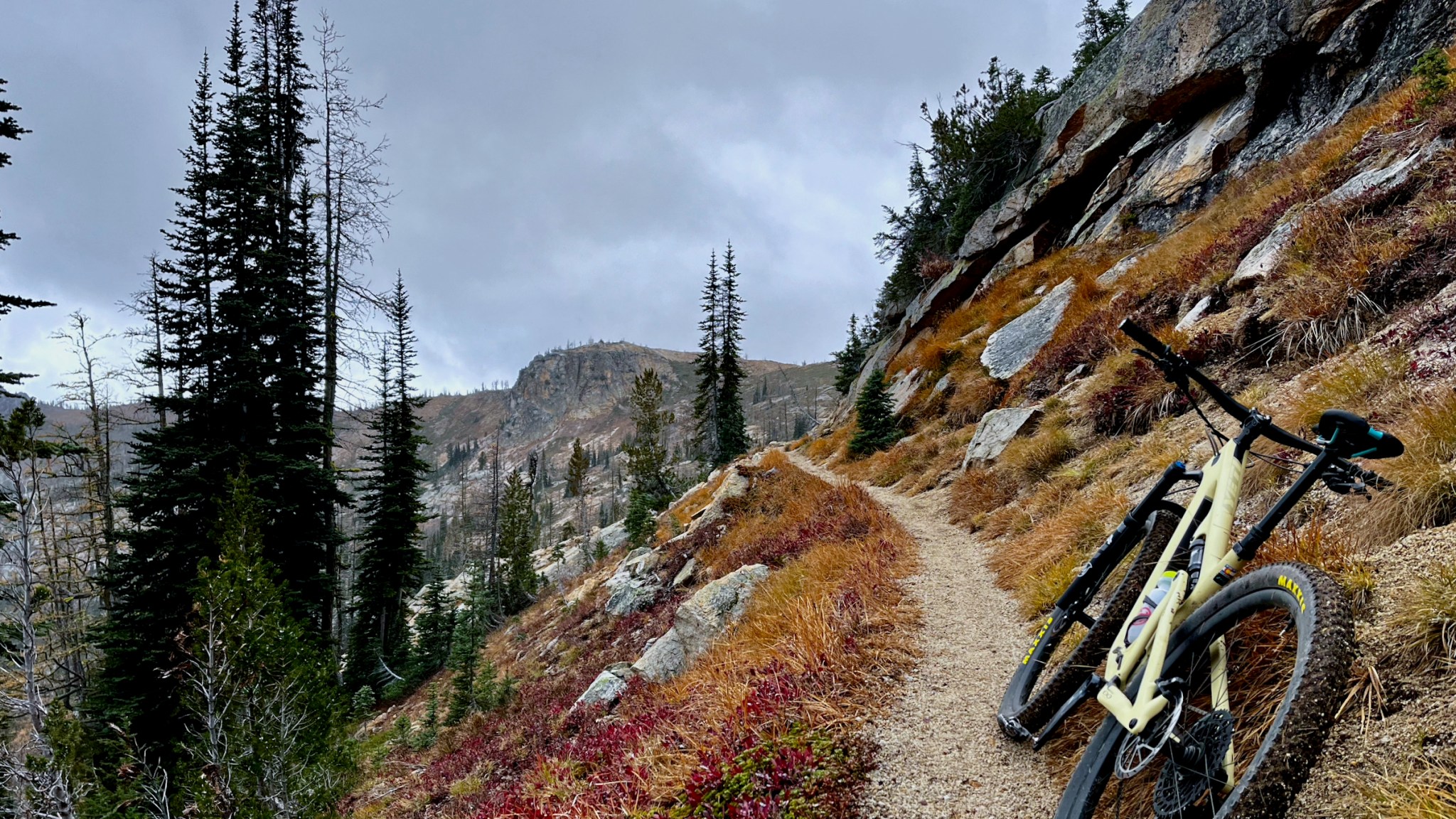 Mountain bike sottobicchiere - Biker BMX Trail Bikes Woods Forest sport